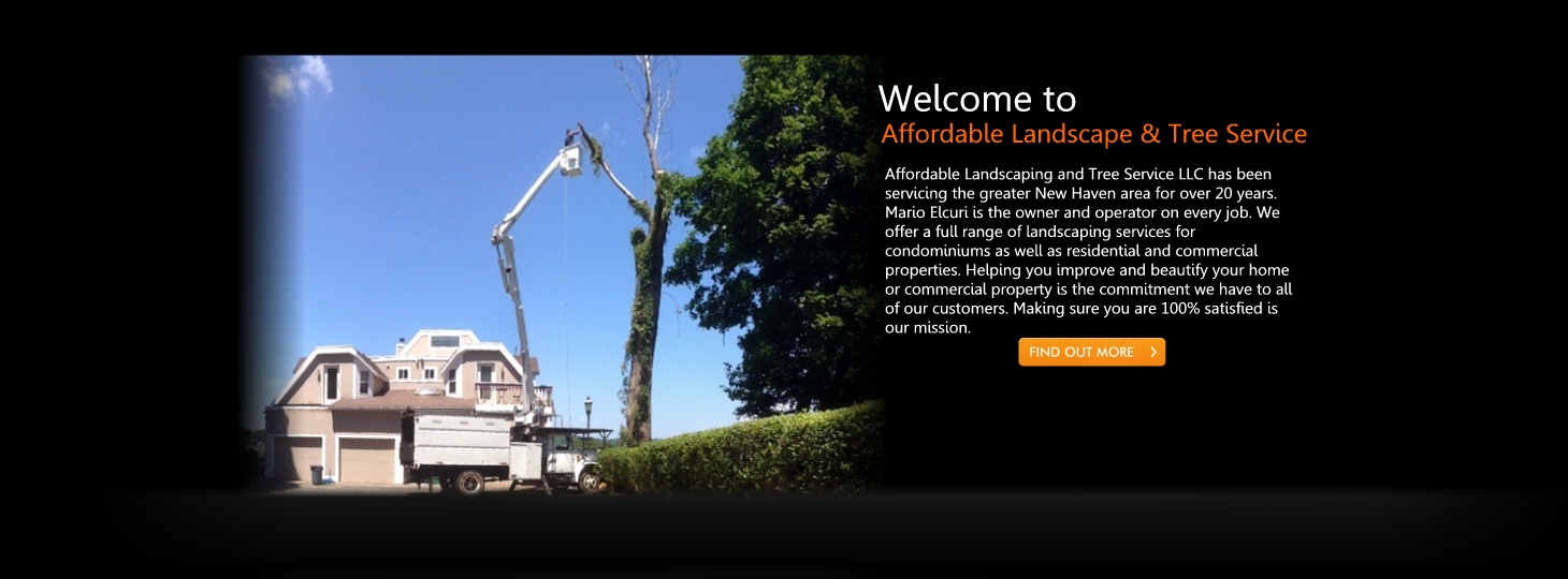 Affordable Landscaping and Tree Service LLC has been
servicing the greater New Haven area for over 20 years.
Mario Elcuri is the owner and operator on every job. We
offer a full range of landscaping services for
condominiums as well as residential and commercial
properties. Helping you improve and beautify your home
or commercial property is the commitment we have to all
of our customers. Making sure you are 100% satisfied is
our mission.